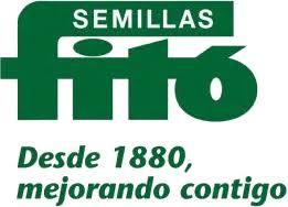 SEMILLAS FITO SB290 - TOMATE "CUARENTENO" MARMANDE