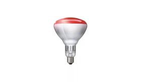 PHILIPS 57521025 - LAMPARA INFRRROJOS 250W E27 BR125 ROJO